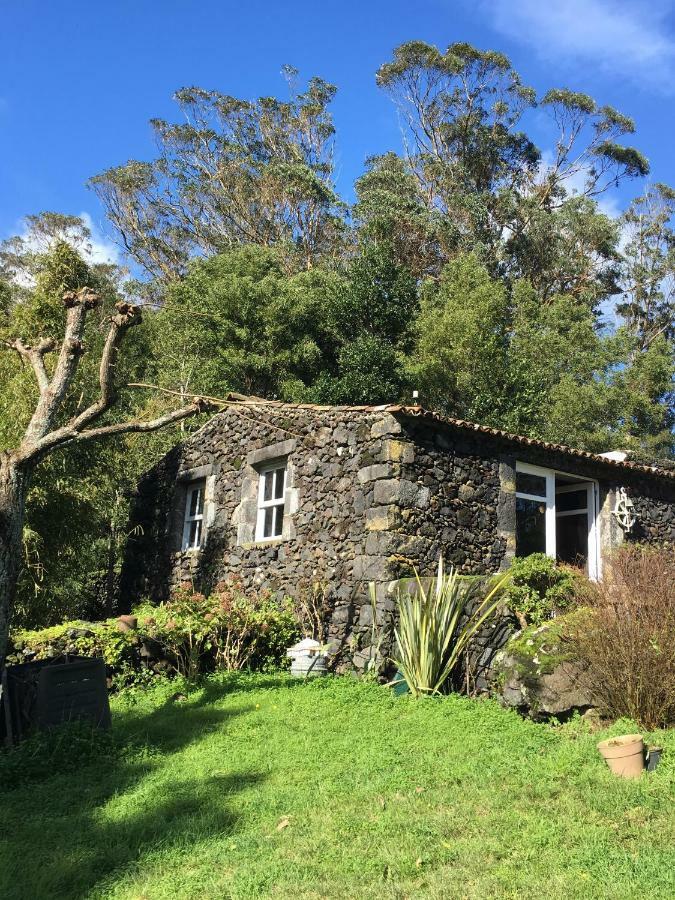 Ponta Delgada Pink House Azores מראה חיצוני תמונה